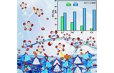 Tuning Double Layer Structure of WO3 Nanobelt for Promoting  the Electrochemical Nitrogen Reduction Reaction in Water 2011-2975